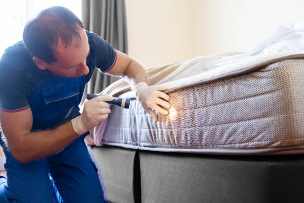 Best Bed Bug Extermination  in Los Luceros, NM